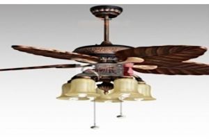 Mua quạt trần Vũng Tàu 3033C