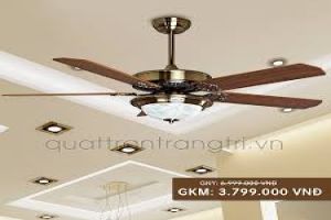 Quạt trần gắn đèn 1053