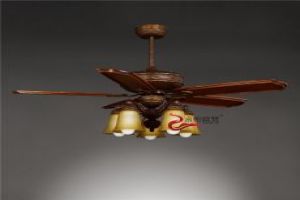 Mua quạt trần Nam Đinh 3024C